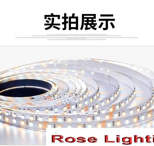 rose lighting